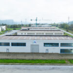 Sede